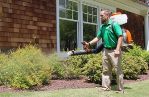 Mosquito Joe of South Dayton technician spraying bushes out of a home. 